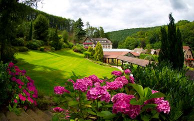 Le Clos des Délices