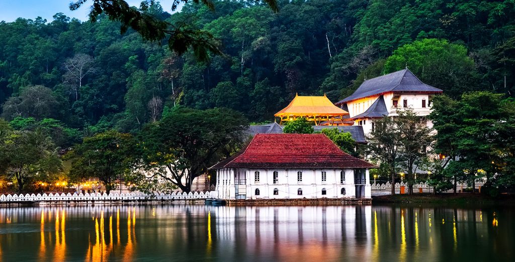 Rundreise Sri Lanka & Erweiterung in Avani Bentota