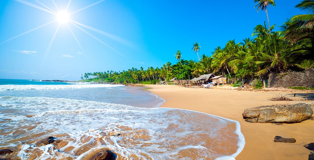 Sri Lanka Highlights + Royal Palms Beach Hotel 5*