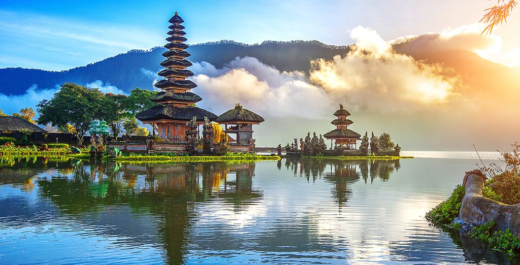 Alaya Resort Ubud 4*, Anema Cruise & Mövenpick Resort & Spa Jimbaran Bali 5*