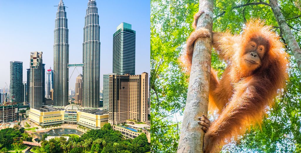 Private Rundreise: Kuala Lumpur & Borneo