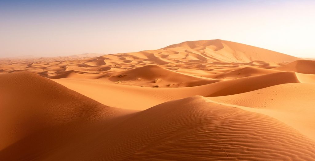 Strand und Wüste auf einer Reise - Djerba