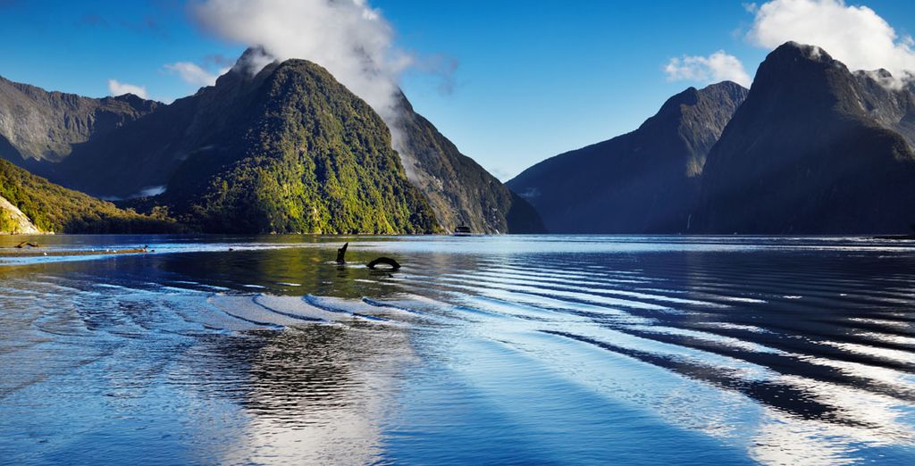 Entdecken Sie die vulkanische Insel Neuseeland. 