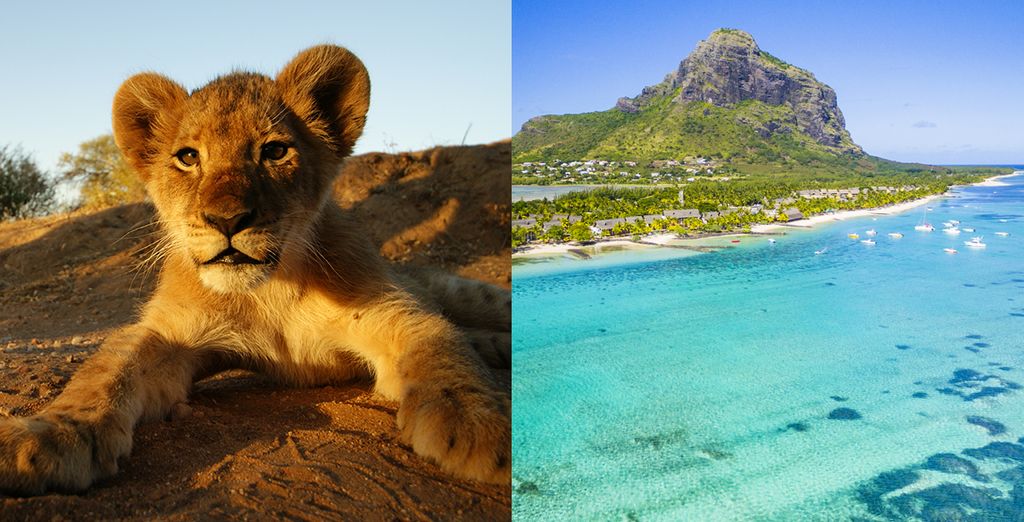 Rundreise Big Five in Südafrika + Radisson Blu Poste Lafayette Resort & Spa 4* - Adult Only