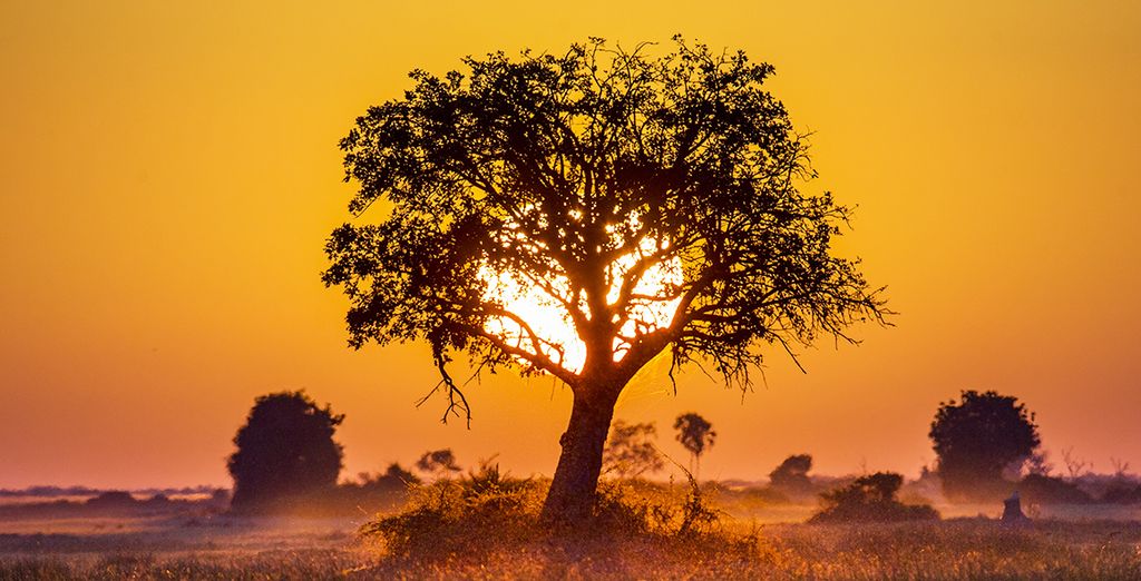 Botswana Rundreise in 11 Tagen und 8 Nächten
