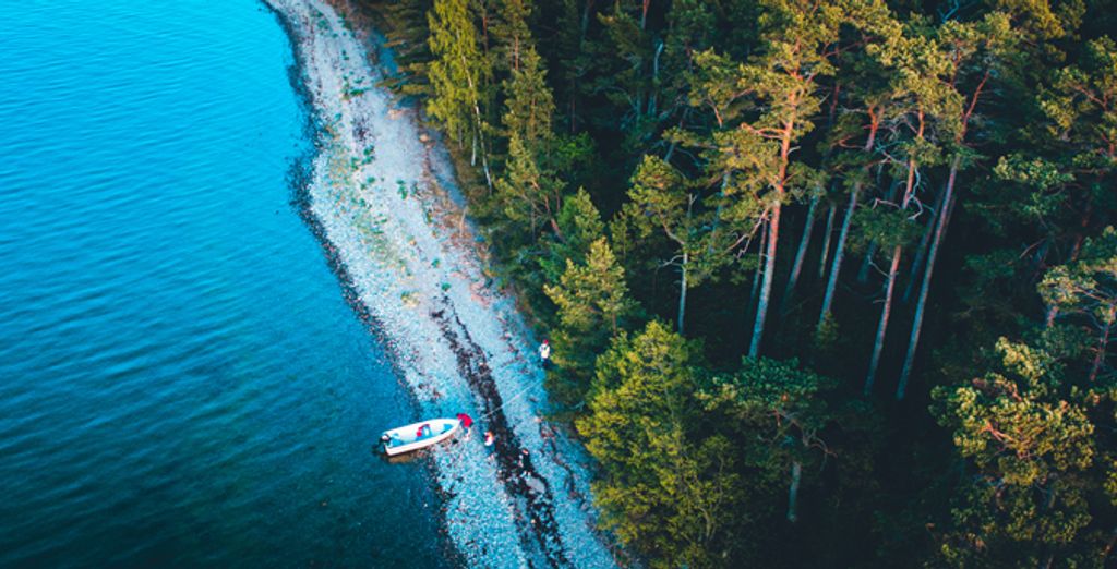 Fin de Año en Estocolmo