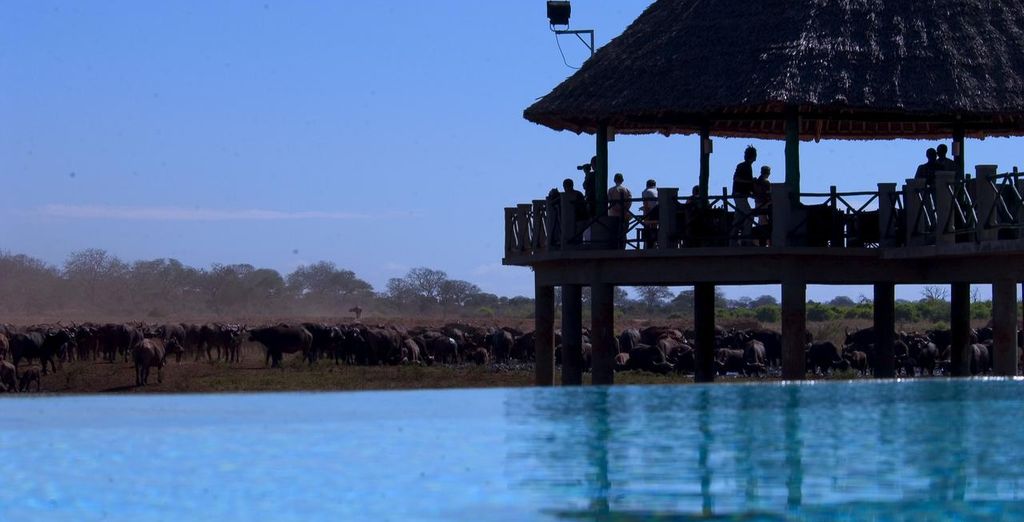 Severin Sea Lodge 4* y Safari 