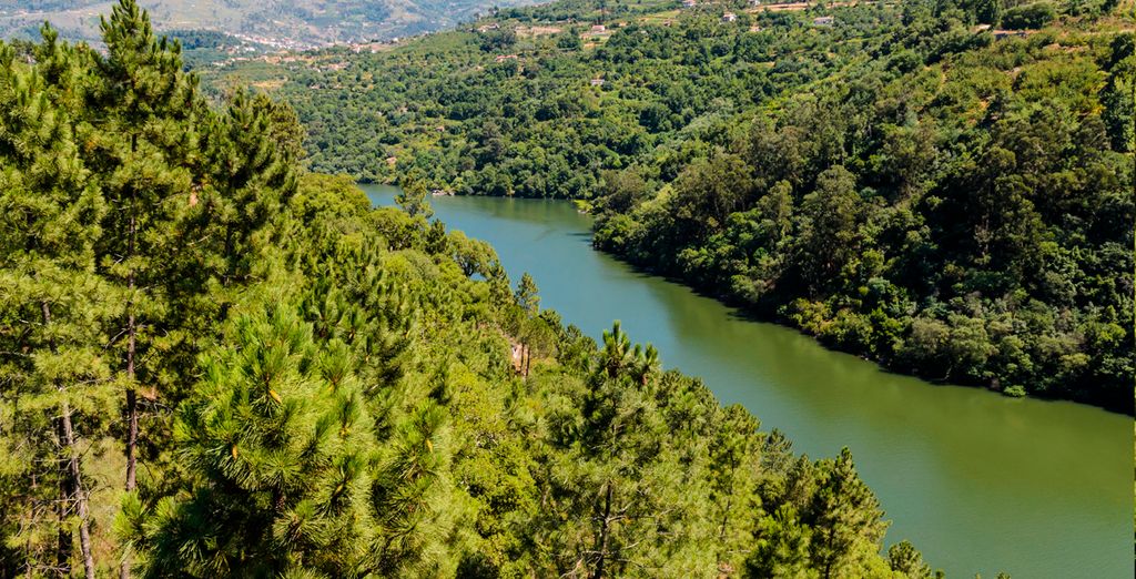 Agua Hotels Douro Scala 5*