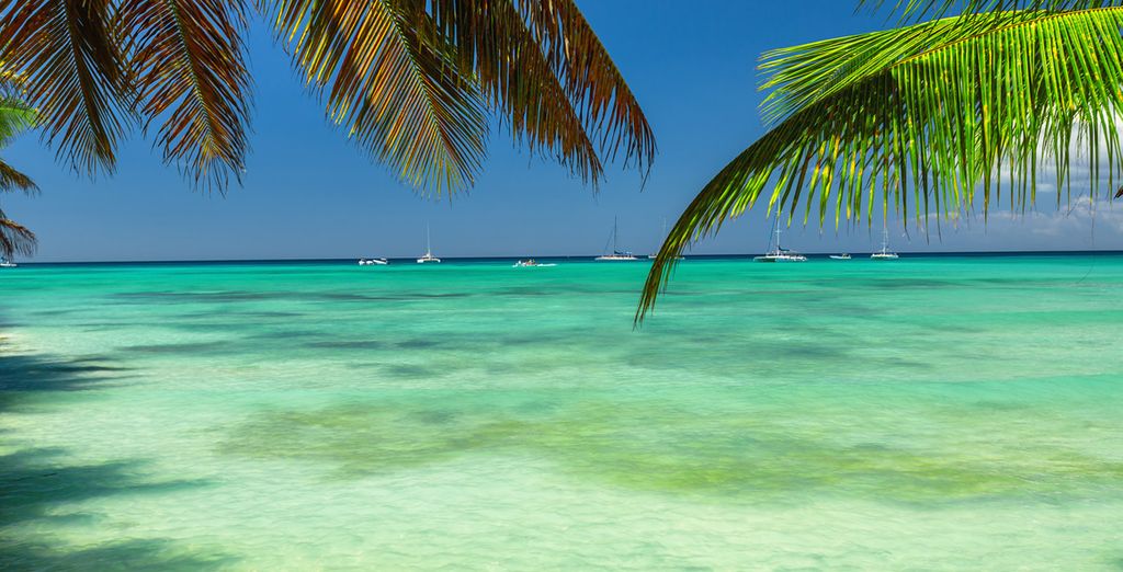 Viva Wyndham Tangerine - All Inclusive 4*