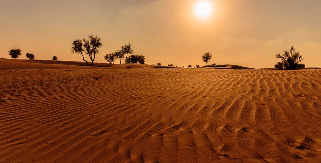 Combinado Lapita Dubai Park & Resort 5* y JW Marriott Marquis 5*