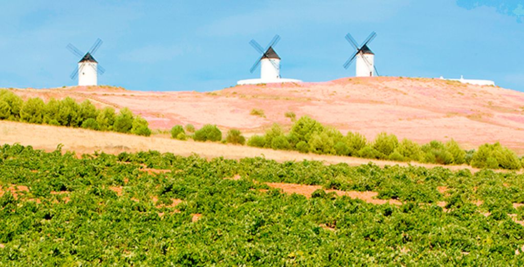 Hotel Château Viñasoro 4*