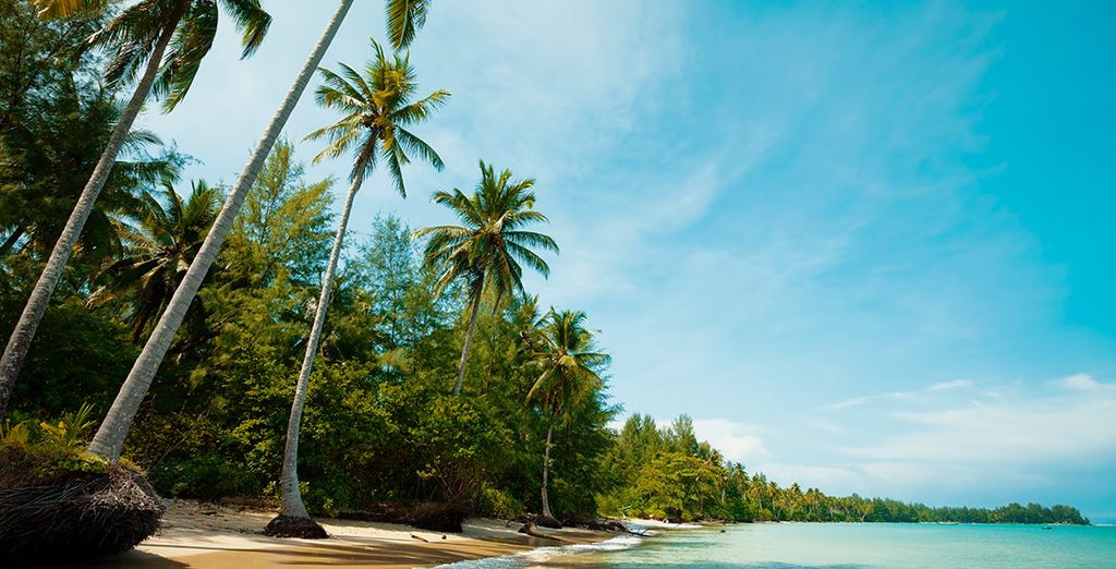 Manathai Surin 4*, Koh Yao Yai Village 4* y Manathai Khao Lak 4*