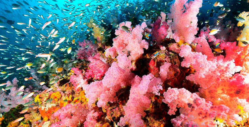 Manathai Surin 4*, Koh Yao Yai Village 4* y Manathai Khao Lak 4*