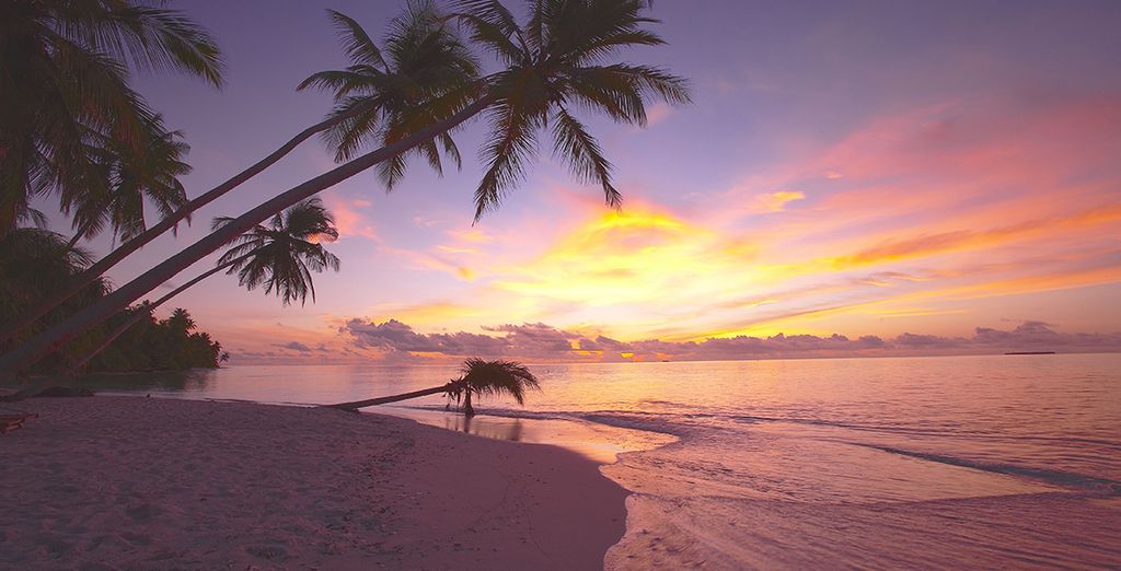 Fantástico crucero con posible extensión a Filitheyo Island Resort 4*