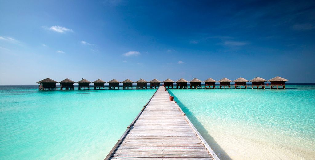 Fantástico crucero con posible extensión a Filitheyo Island Resort 4*