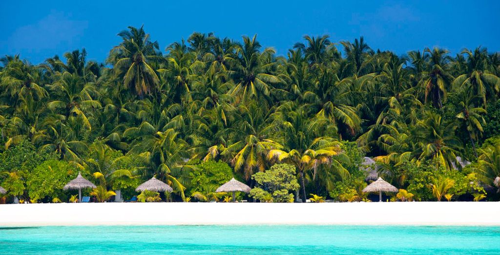 Fantástico crucero con posible extensión a Filitheyo Island Resort 4*