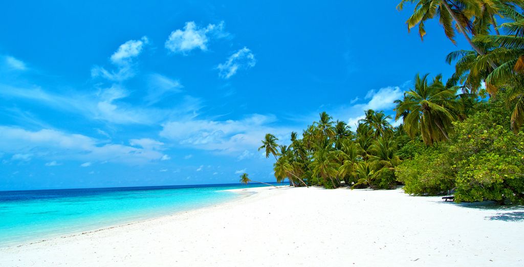 Fantástico crucero con posible extensión a Filitheyo Island Resort 4*