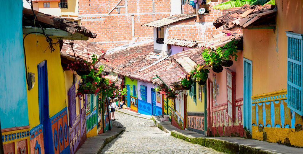 Colombia, aromas de café y mar