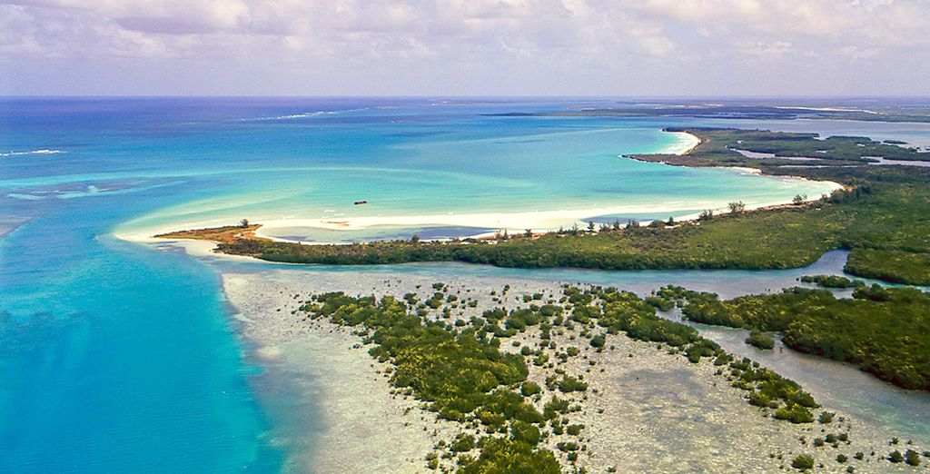Combinado Iberostar Grand Packard 5* y Paradisus Los Cayos 5*