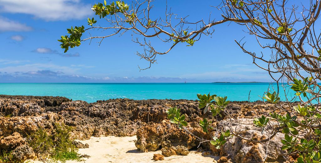 Combinado Iberostar Grand Packard 5* y Paradisus Los Cayos 5*