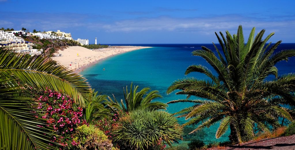 Elba Sara Beach & Golf Resort 4*
