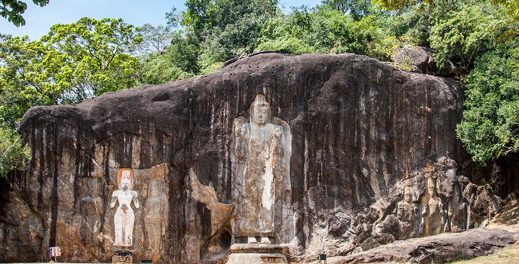 Ceylán - La Perla del Índico