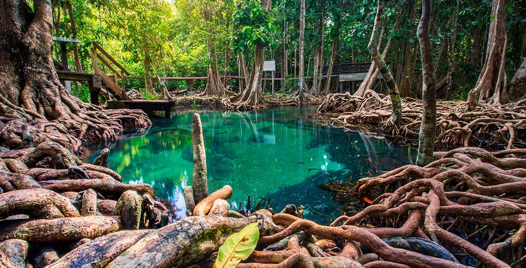 Bangkok, Triángulo de Oro y Krabi