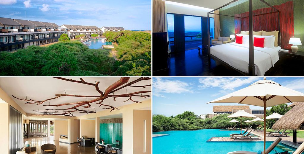 Ceylán - La Perla del Índico