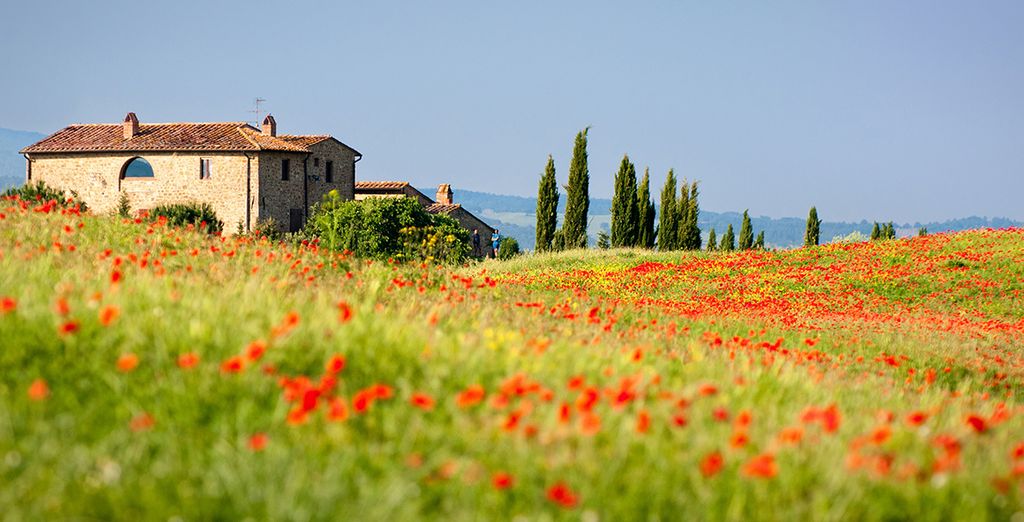 Castello di Leonina Relais 4*