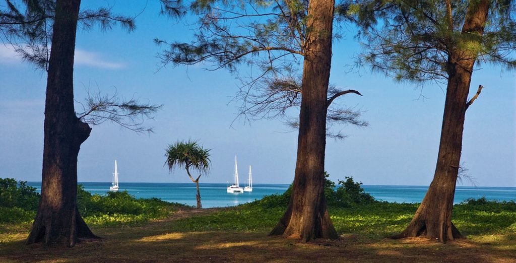 Esplendores del sureste asiático: entre cultura y playas