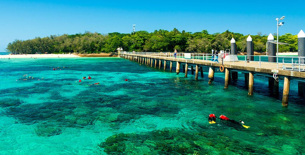 Explorando Australia con extensión opcional a Melbourne