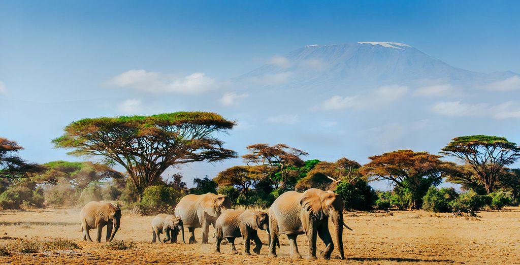 Safari avec extension au Baobab Beach Resort & Spa - Kenya - Jusqu'à -70% | Voyage Privé