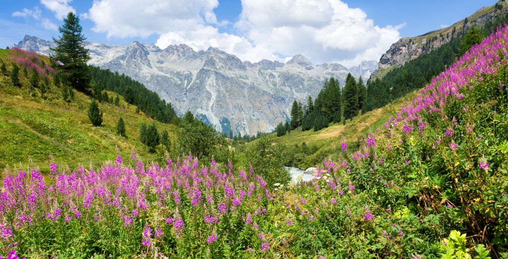 Arenas Resort Schweizerhof Sils Maria Engadin Jusqu 70 Voyage Arenas Resort Schweizerhof Sils Maria Engadin Jusqu 70 Voyage