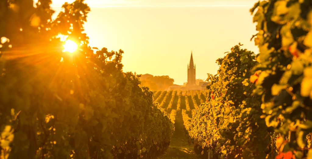 Hôtel Mercure Libourne Saint-Emilion 4*