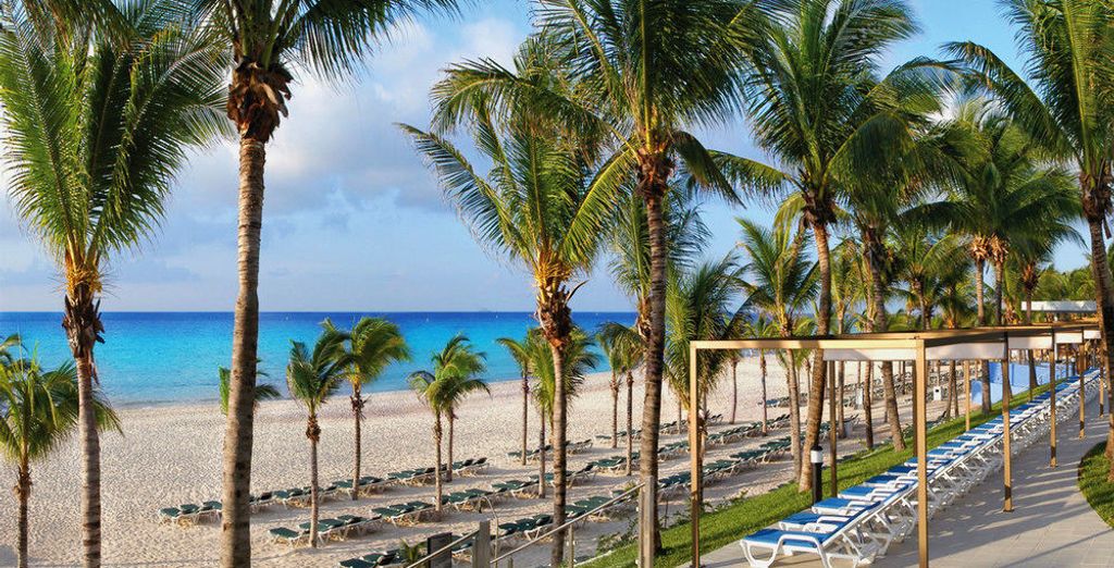 Hotel Riu Yucatan