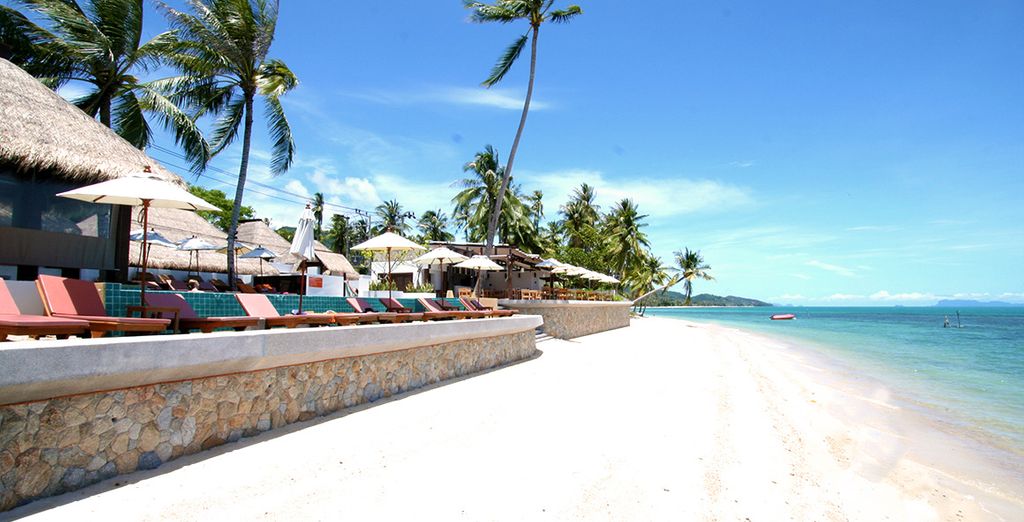  Mimosa Resort & Spa 4*