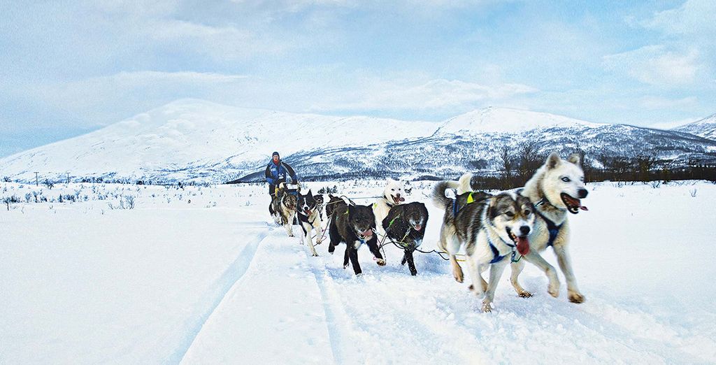 Circuit Tromsø, la porte de l’Arctique en 3 ou 5 nuits