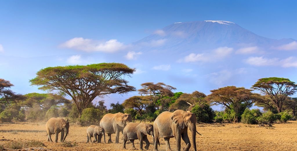 Voyager au Kenya avec Voyage Prive