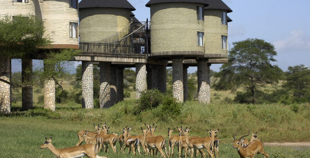 Hôtel Papillon Lagoon Reef Diani & Safaris