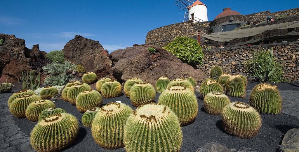 Ô Club Experience Occidental Lanzarote Mar 4*