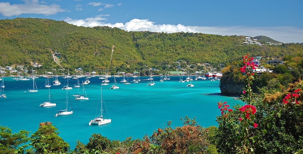 Croisière de rêve aux Grenadines en catamaran premium et extension  balnéaire possible en Martinique - Fort De France - Jusqu'à -70% | Voyage  Privé