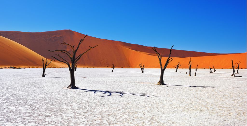 Autotour Les Merveilles de Namibie en 8 nuits 