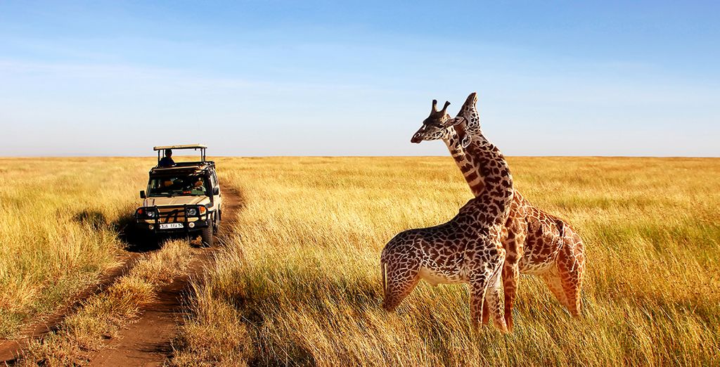 Safari en Tanzanie de 3 ou 5 nuits avec extension à Zanzibar - Kilimanjaro  - Jusqu&#39;à -70% | Voyage Privé