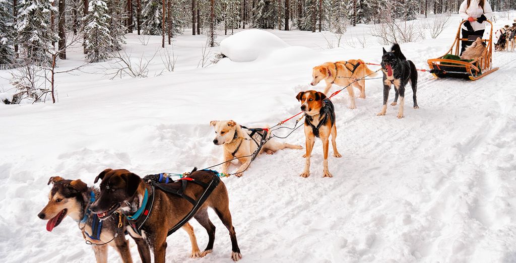 Arctic City Hotel Rovaniemi 4*