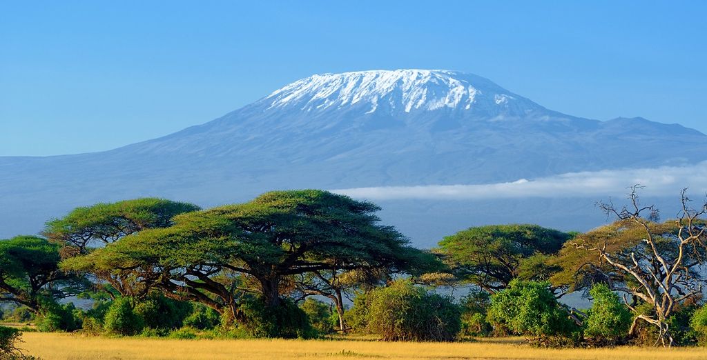 Safari inoubliable au coeur de la Tanzanie - Kilimanjaro - Jusqu&#39;à -70% | Voyage  Privé