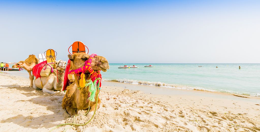 Riad Meninx 4* - Djerba - Jusqu’à -70% | Voyage Privé