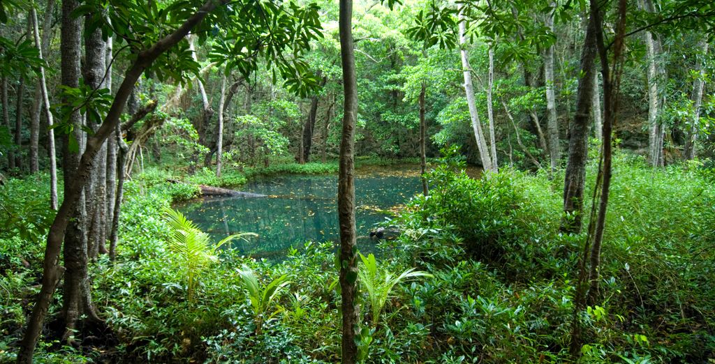 Nouméa et L’ile des Pins - pré-extension possible en Nouvelle Zélande