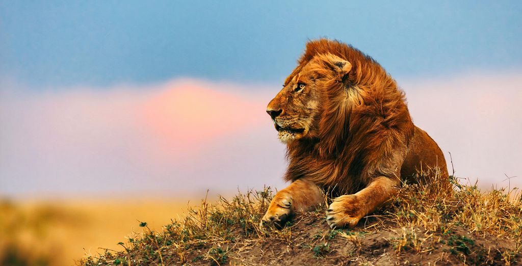 Safari di 7 notti in Kenya