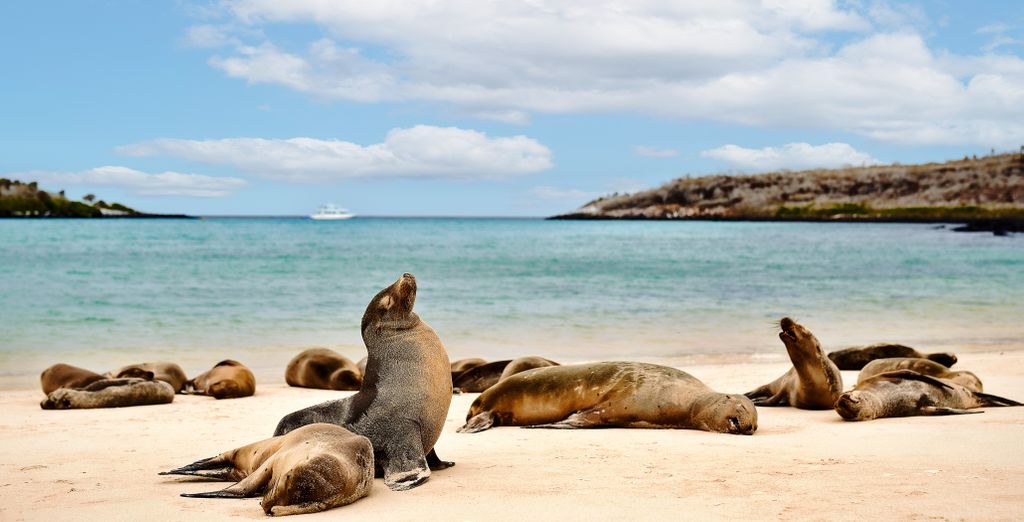 Tour di 10 notti l'essenziale dell'Ecuador con possibile crociera