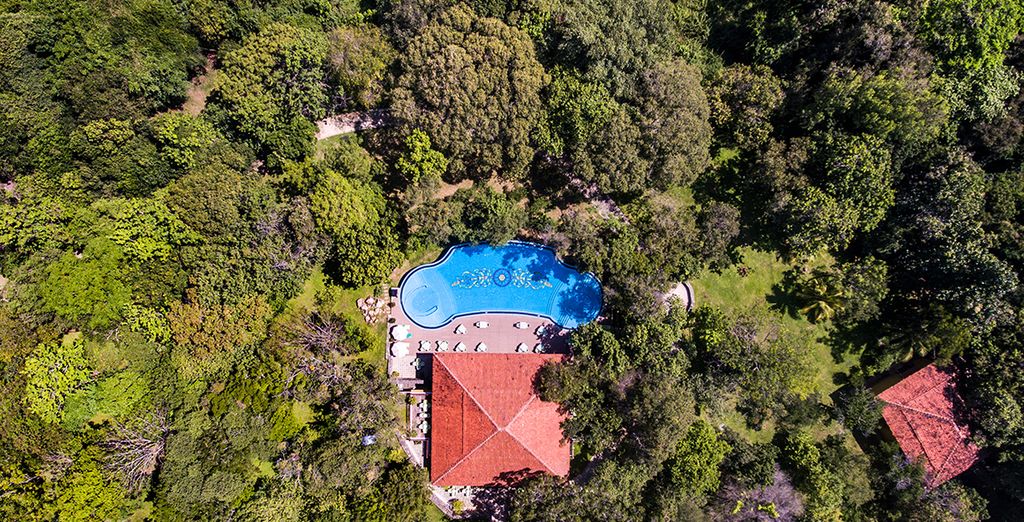 Tour privato Sri Lanka in 5* o 5* lusso  con possibile soggiorno al Park Rotana 5* Abu Dhabi